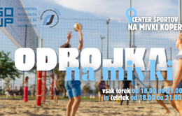 odbojka (LCD)